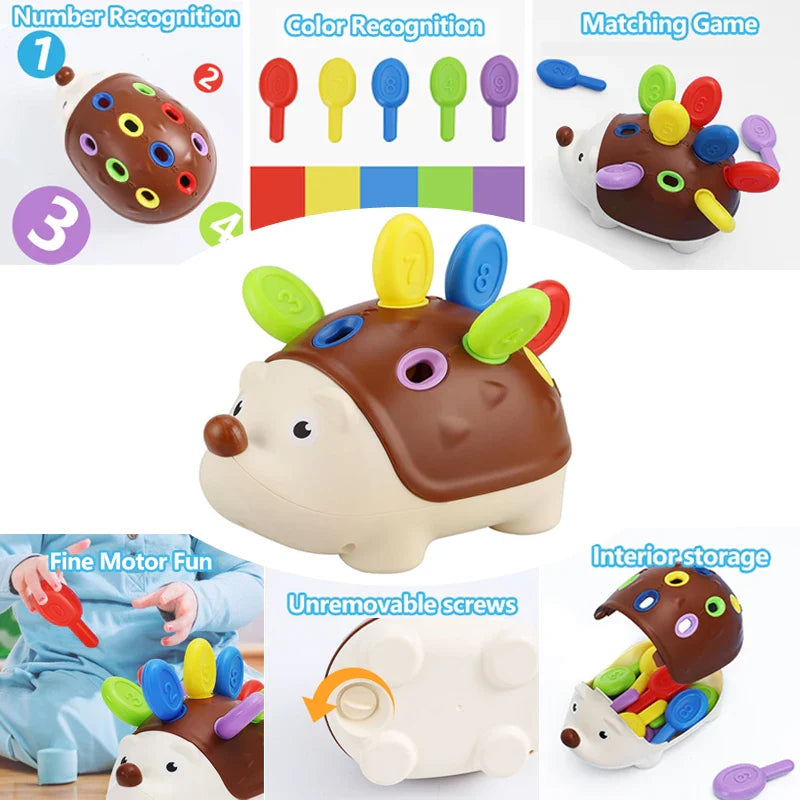 Hedgehog Montessori Toy for Toddlers – Fine Motor & Counting Skills